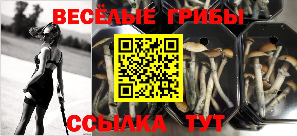 Галлюциногенные грибы Cubensis Минеральные Воды